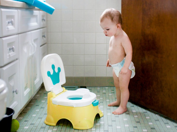 Potty Chairs