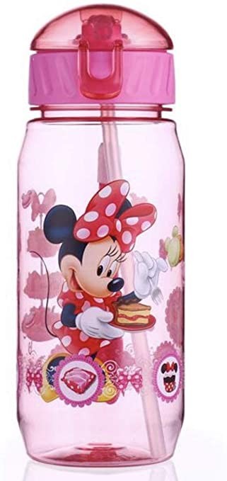 mickey water bottle